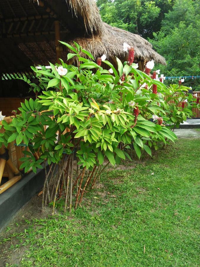 Tua Tua Keladi Bungalows Gili Air Kültér fotó