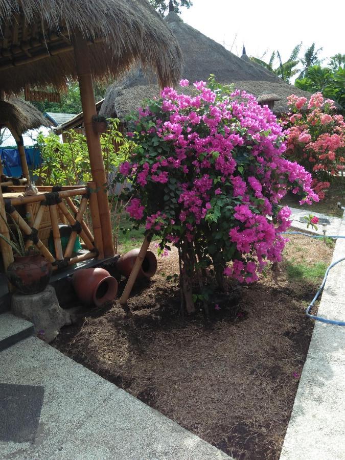 Tua Tua Keladi Bungalows Gili Air Kültér fotó
